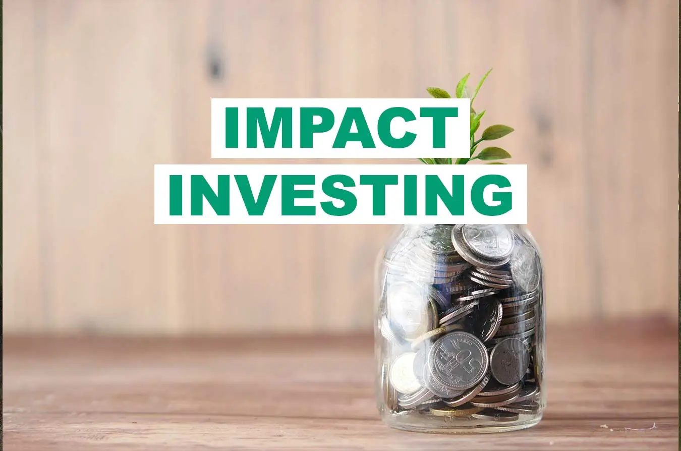 Impact Investing Geldanlage wächst