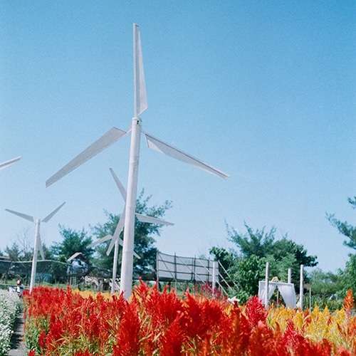 Windkraftanlage in einem Garten Privat
