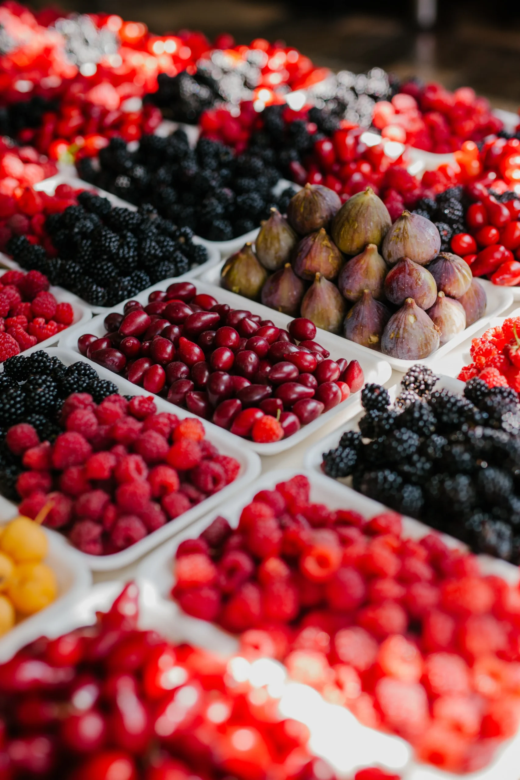 Bio als Gelanlage, Bio Lebensmittel, Tomaten, Obst, Gemüse