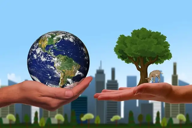 Eine Hand mit einem Globus und eine Hand mit einem Baum.