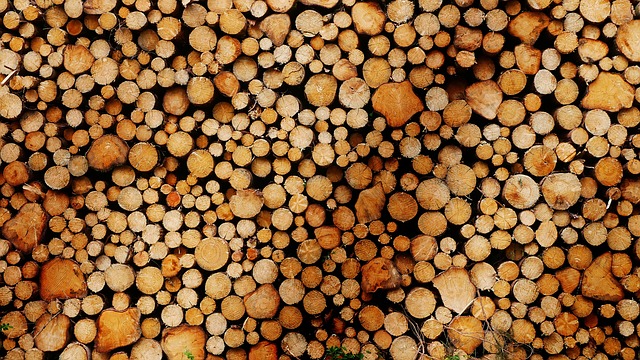Viele Holzstämme gestapelt