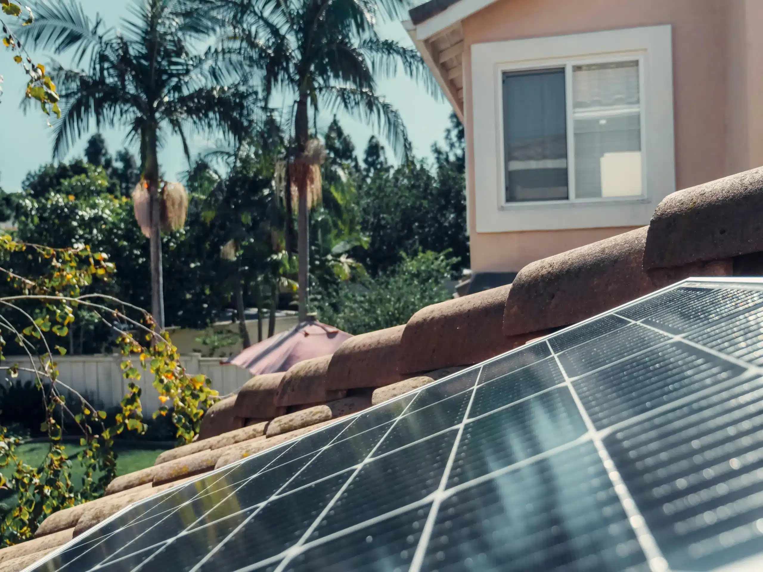 Eine Nahaufnahme eines Solarmoduls auf einem Schrägdach, im Hintergrund stehen Palmen. (Foto: Kindel Media/Pexels)