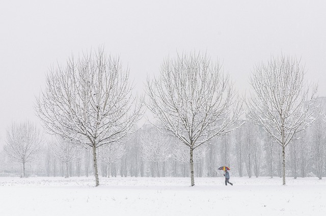 Winter Schnee im Wald und ein Mensch