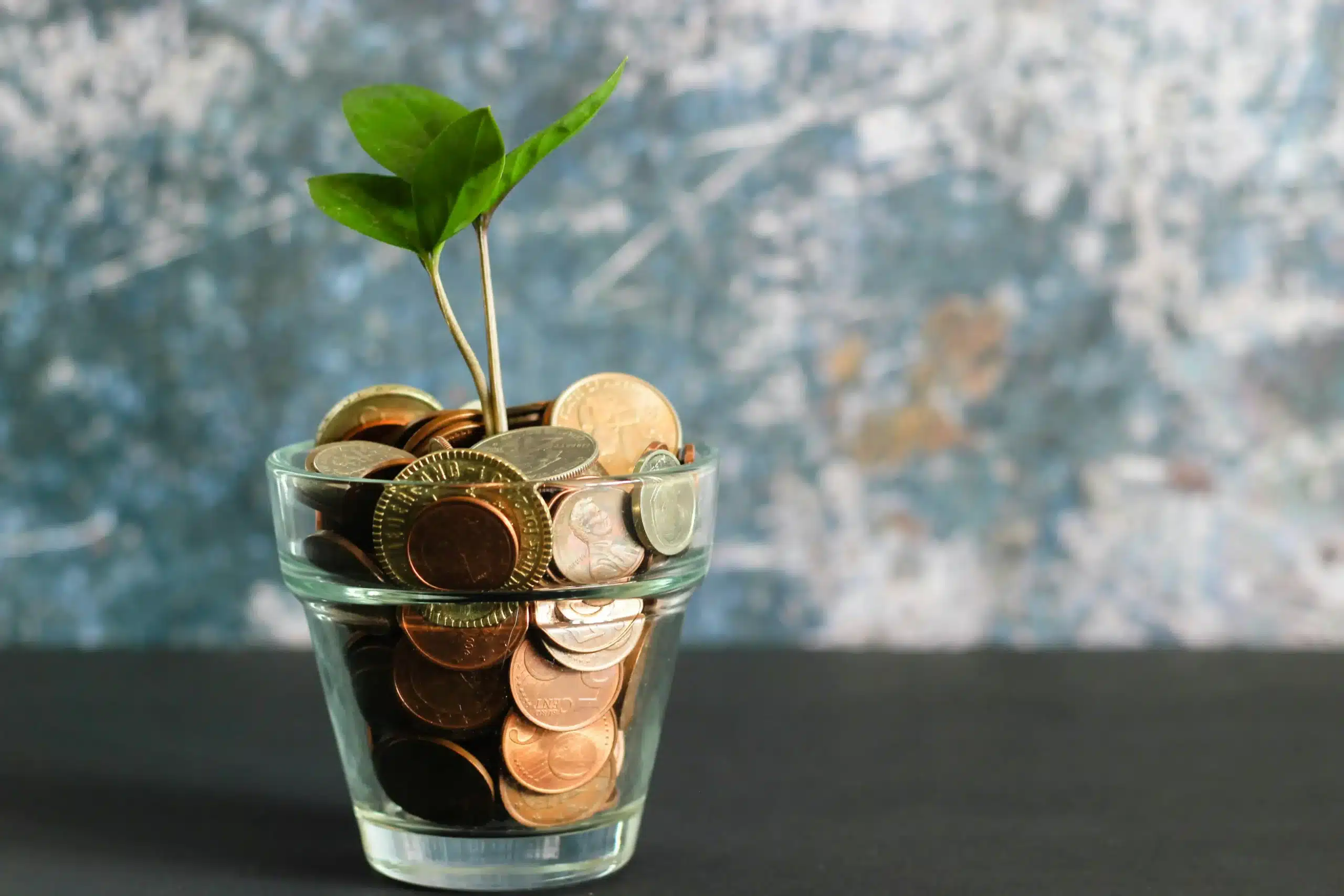 Glas mit Geld aus dem eine Pflanze wächst