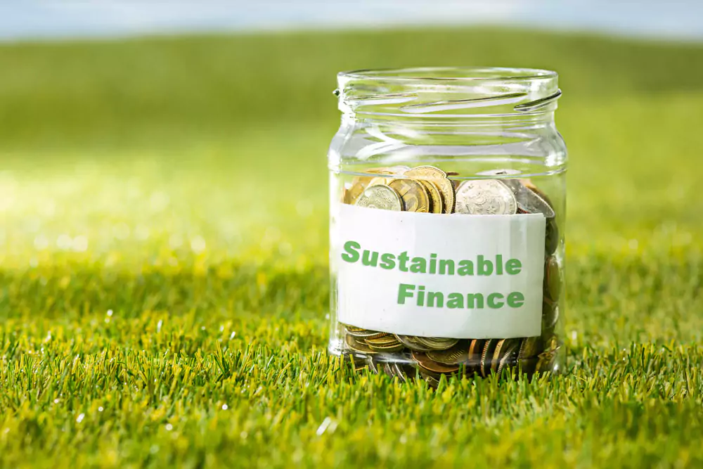 Glas mit Geld auf Wiese mit Aufschrift Sustainable Finance