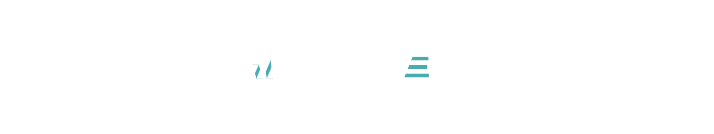 cleanvest logo