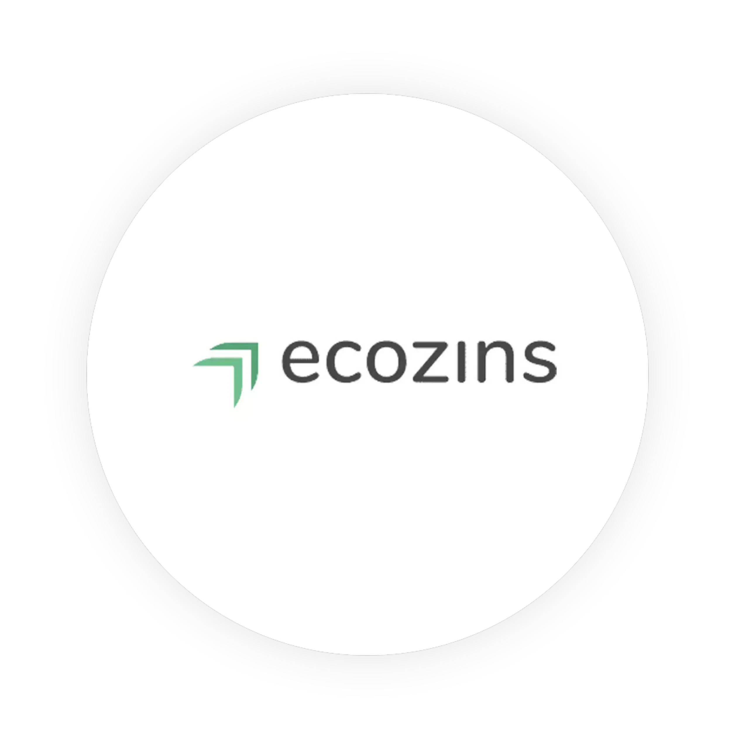 ecozins logo