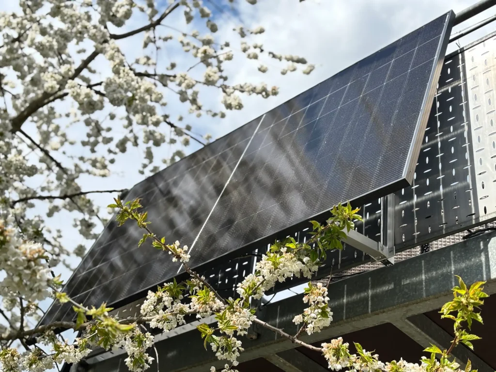 Nahaufnahme eines auf einer Metallkonstruktion montierten Solarmoduls, mit blühenden weißen Blumen und Zweigen im Vordergrund unter einem teilweise bewölkten Himmel, der reale Solakon-Erfahrungen zeigt.