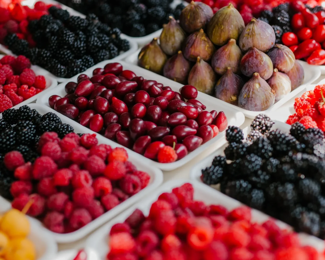 Bio als Gelanlage, Bio Lebensmittel, Tomaten, Obst, Gemüse