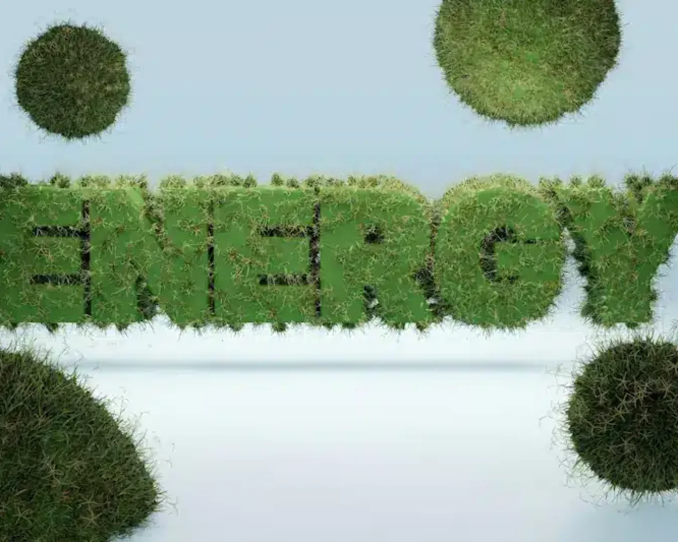 erneuerbare Energien, Bioenergie