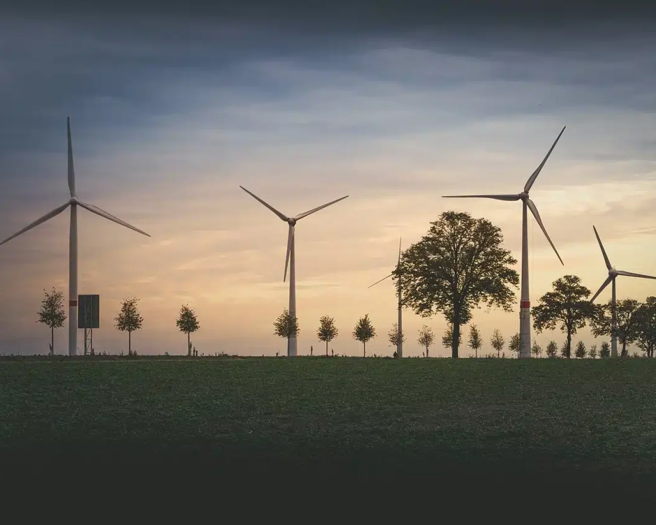Windturbinen stehen in einem grünen Feld mit verstreuten Bäumen bei Sonnenuntergang, unter einem Himmel mit weichen Wolken und warmem Licht, und illustrieren eine Landschaft mit erneuerbaren Energien, die an positive Händlerplatzerfahrungen erinnert.
